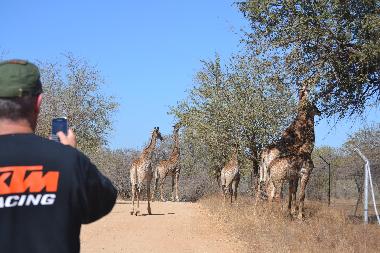 Holiday House in Marloth Park (Mpumalanga) or holiday homes and vacation rentals