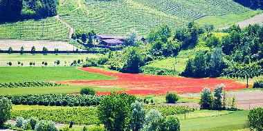 A view of the Canale valley on the road to La Terrazza