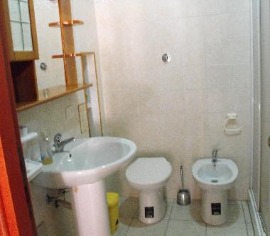 the main bathroom: the shower