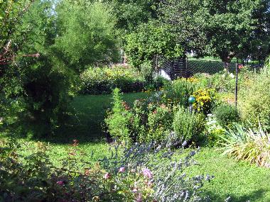 Holiday House in Illmitz (Nordburgenland) or holiday homes and vacation rentals