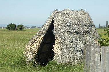 Holiday House in Illmitz (Nordburgenland) or holiday homes and vacation rentals