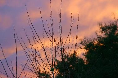 Holiday House in Illmitz (Nordburgenland) or holiday homes and vacation rentals