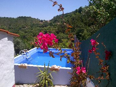 Holiday House in Monchique (Algarve) or holiday homes and vacation rentals