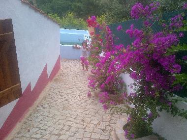 Holiday House in Monchique (Algarve) or holiday homes and vacation rentals