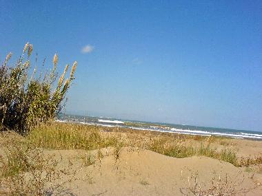 Holiday House in Deltebre - Riumar (Tarragona) or holiday homes and vacation rentals