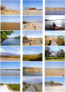 Holiday House in Deltebre - Riumar (Tarragona) or holiday homes and vacation rentals