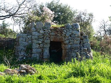 next to our stone house, you can see two old Minoan stone caves, which were formed by hand long ago;
