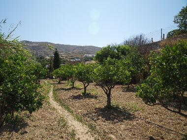 Holiday House in Syros (Kyklades) or holiday homes and vacation rentals