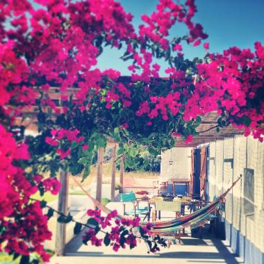 Holiday House in Melides (Alentejo Litoral) or holiday homes and vacation rentals