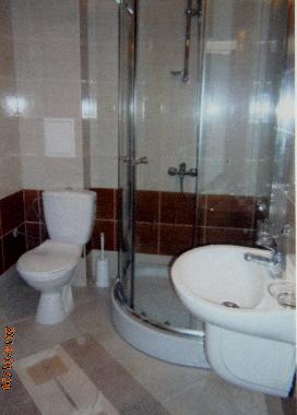 shower room with  toilet and sink