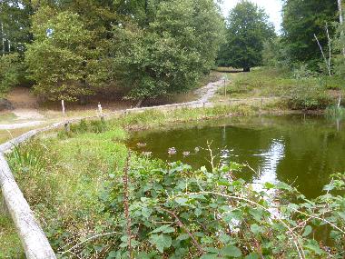Holiday Apartment in Rosengarten (Hamburg) or holiday homes and vacation rentals
