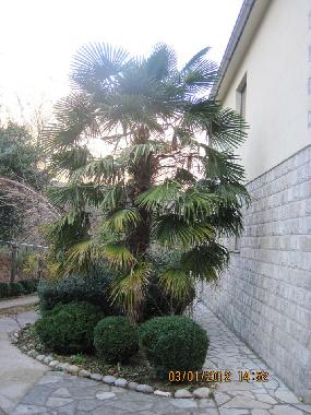 The villa is secured behind gates and has its own water supply. All rooms are air conditioned and ha