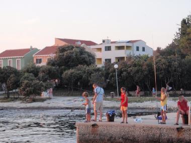 Holiday Apartment in Petrcane (Zadarska) or holiday homes and vacation rentals