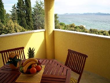 Holiday Apartment in Petrcane (Zadarska) or holiday homes and vacation rentals