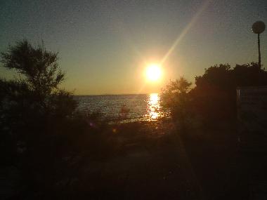 Holiday Apartment in Petrcane (Zadarska) or holiday homes and vacation rentals