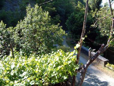 Holiday House in Borgo Val di Taro (Parma) or holiday homes and vacation rentals