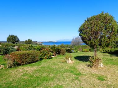 Holiday House in Palau (Gallura ) or holiday homes and vacation rentals