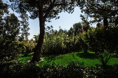 Villa in S. Margherita di Pula (Cagliari) or holiday homes and vacation rentals