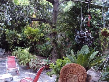 Tropical gardens