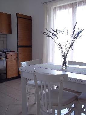 Holiday Apartment in Novigrad (Zadarska) or holiday homes and vacation rentals