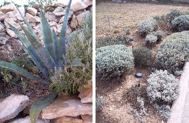 Holiday Apartment in Novigrad (Zadarska) or holiday homes and vacation rentals