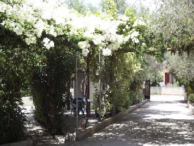 Holiday Apartment in Chania-Gavalochori (Chania) or holiday homes and vacation rentals