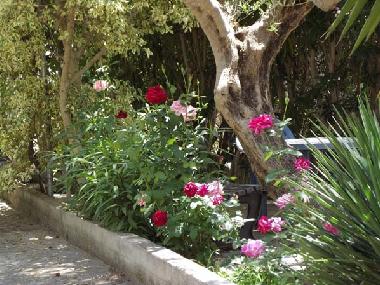 Holiday Apartment in Chania-Gavalochori (Chania) or holiday homes and vacation rentals