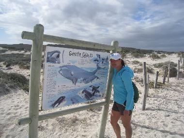 Lots of birds, wildlife, fynbos, dunes, sea creatures, fresh air and sun