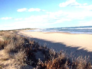 Holiday Apartment in Guardamar del Segura (Alicante / Alacant) or holiday homes and vacation rentals