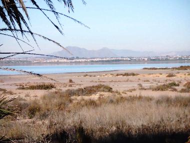 Holiday Apartment in Guardamar del Segura (Alicante / Alacant) or holiday homes and vacation rentals