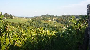 Holiday House in Zagorska Sela (Krapinsko-Zagorska) or holiday homes and vacation rentals