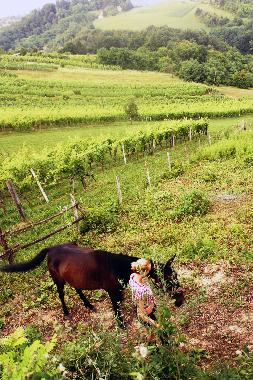 Holiday House in Zagorska Sela (Krapinsko-Zagorska) or holiday homes and vacation rentals