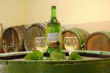 Holiday House in Zagorska Sela (Krapinsko-Zagorska) or holiday homes and vacation rentals