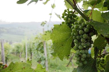 Holiday House in Zagorska Sela (Krapinsko-Zagorska) or holiday homes and vacation rentals