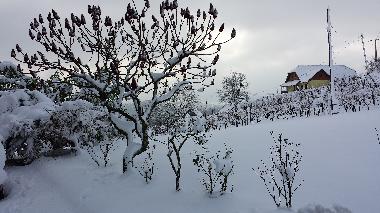 Holiday House in Zagorska Sela (Krapinsko-Zagorska) or holiday homes and vacation rentals