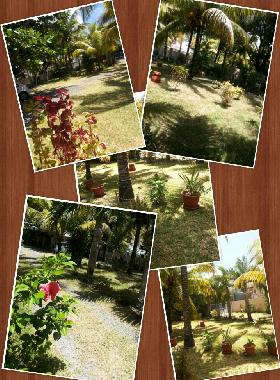 Holiday Apartment in Pereybere (Riviere du Rempart) or holiday homes and vacation rentals