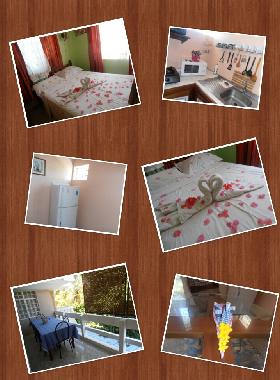 Holiday Apartment in Pereybere (Riviere du Rempart) or holiday homes and vacation rentals