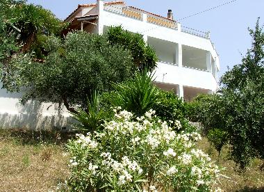 Holiday Apartment in Zacharo (Messinia) or holiday homes and vacation rentals