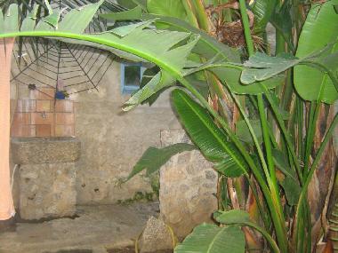 Holiday House in Tropea (Vibo Valentia) or holiday homes and vacation rentals