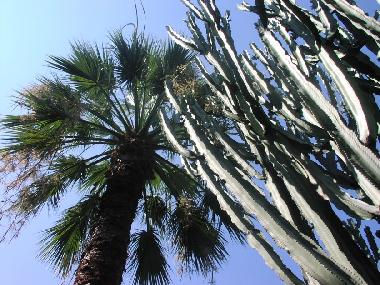 Holiday House in Tropea (Vibo Valentia) or holiday homes and vacation rentals
