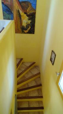 Villa in Lorgues (Var) or holiday homes and vacation rentals