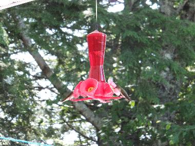 Holiday House in Weymouth (Nova Scotia) or holiday homes and vacation rentals