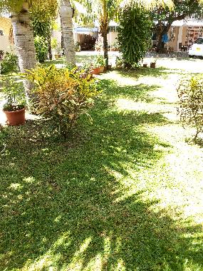 Holiday Apartment in Pereybere (Pereybere) or holiday homes and vacation rentals