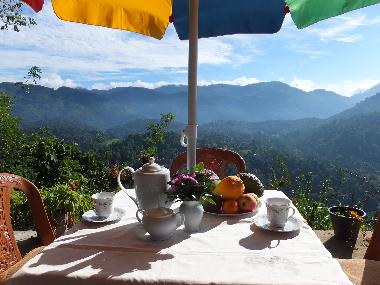 Enjoy afternoon tea overlooking the Knuckles Range of mountains