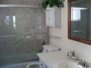 Master bath, walk in closet in Master and Guest room, tob with shower newly remodeled