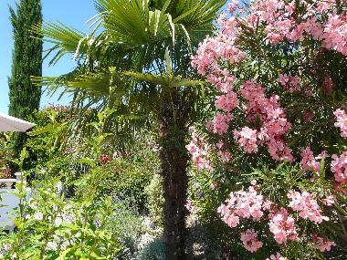 Holiday House in Les mages (Gard) or holiday homes and vacation rentals