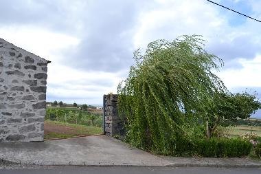 Holiday House in Nordeste (Azores) or holiday homes and vacation rentals