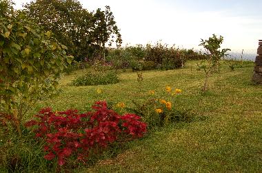 Holiday House in Nordeste (Azores) or holiday homes and vacation rentals