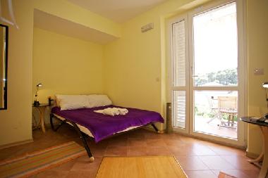 Holiday Apartment in Dubrovnik (Dubrovacko-Neretvanska) or holiday homes and vacation rentals
