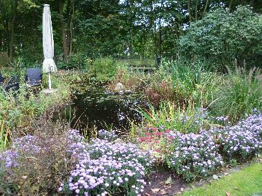 Holiday Apartment in Papenburg (Emsland) or holiday homes and vacation rentals